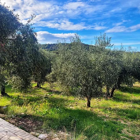 Gelbes Haus Korfu Appartement Pithos