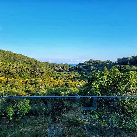 Gelbes Haus Korfu דירה *