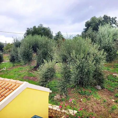 Gelbes Haus Korfu Pithos