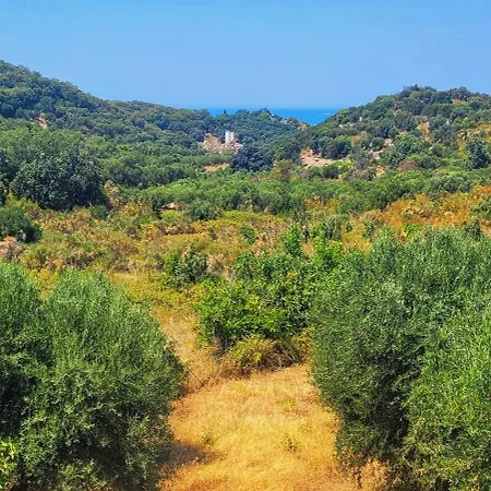 Gelbes Haus Korfu Pithos