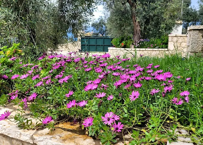 Gelbes Haus Korfu Pithos