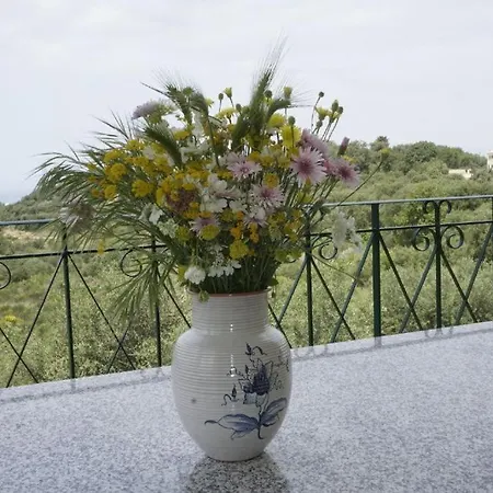 Gelbes Haus Korfu Appartement