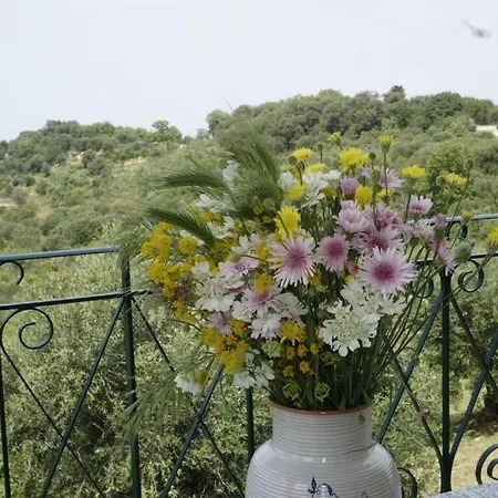 Appartement Gelbes Haus Korfu *