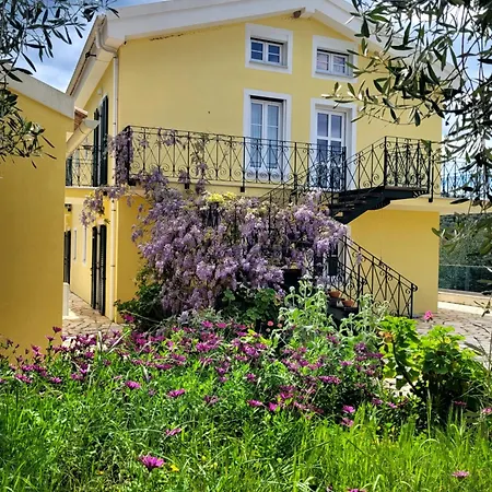 Gelbes Haus Korfu * Pithos