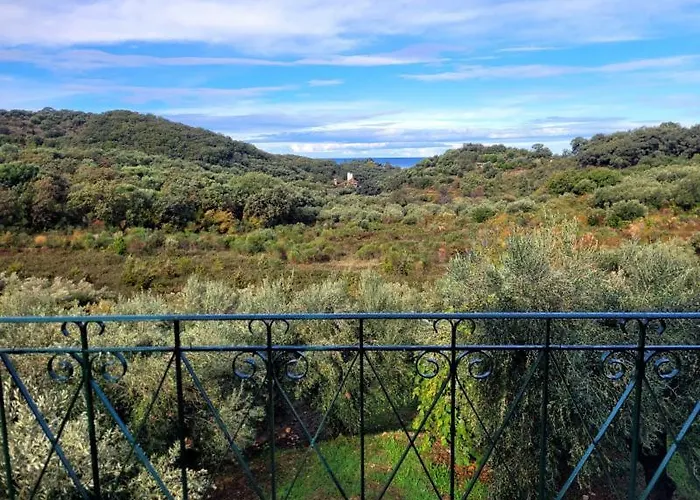 Gelbes Haus Korfu דירה *