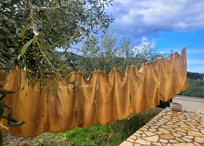 Gelbes Haus Korfu Pithos